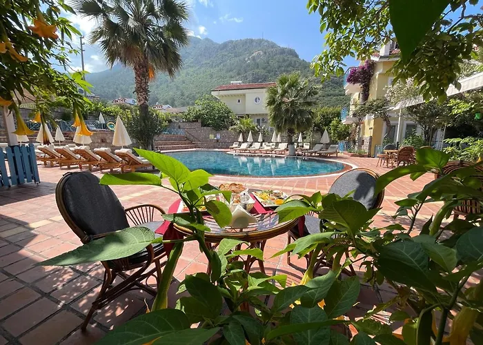 Mountain Valley Ολουντενίζ